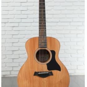 Taylor GS Mini item