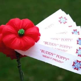 Traditional Buddy Poppies item