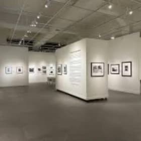 📸 Picture This: A Year of Creativity at FMoPA! item