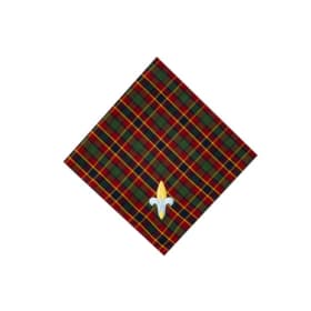 Webelos Neckerchief item