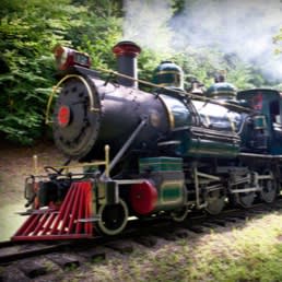 57. Four Tickets to Tweetsie Railroad item