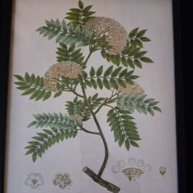 Floral Art - Set of 2 item