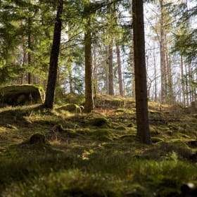 7-night Stay in Sweden! item