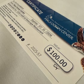 $100 Seascape Gift Certificate item