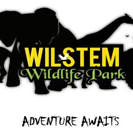 Wilstem Ranch 4 Drive thru Safari & Dino Safari Tickets item