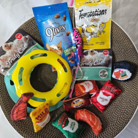 123 Cat Scratcher w/ Treats & Toys item