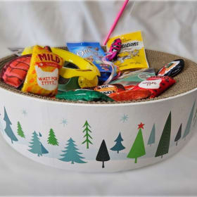 123 Cat Scratcher w/ Treats & Toys item