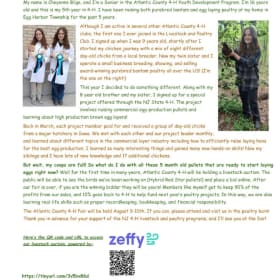 LOT OF 3 Ready-To-Lay Pullets - Sellers: Bilge, Vaino item