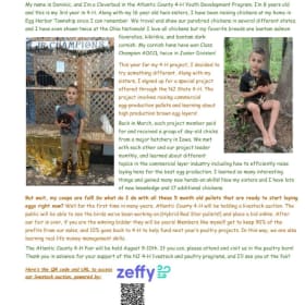 Cockerel, Faverolles/Maran Mix - Sellers: Bilge, Vaino item