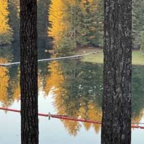 2 Night Getaway at a Lake Cabin in Hoodsport item