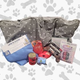Paw-sitively Pampered Pup item