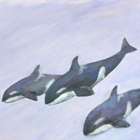 Orcas (Langley Road) item