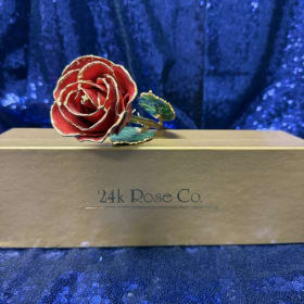 24K Gold Trimmed Real Rose item