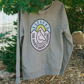 Small Grey Hoodie item