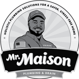 Whole-Home Plumbing Inspection Package (2) item