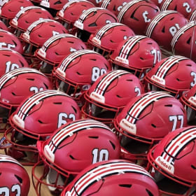 Authentic Bulldog Helmet item