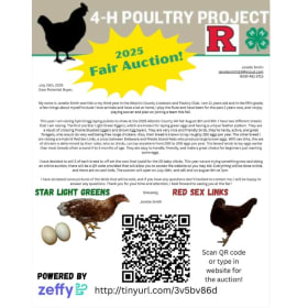 Starlight Green Cockerel- Seller: Janelle Smith item