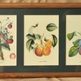 Fruit Print item