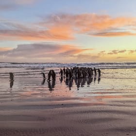 11x15 Photo on metal item