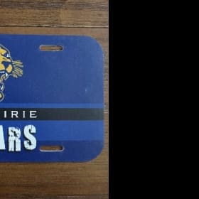 VANITY LICENSE PLATE item