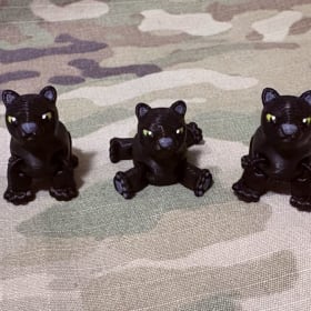 Mini Panthers Fidget item
