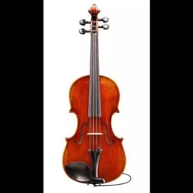 Eastman Strings VL305-EAV Electro Acoustic 4/4 Violin item
