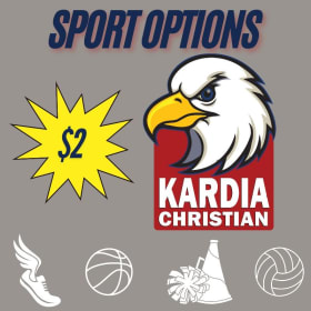 Yard Sign Ball item