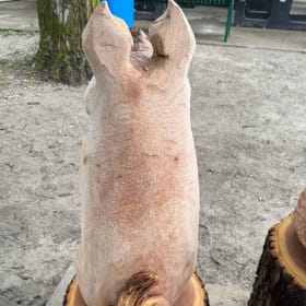 Pig Wood Carving item