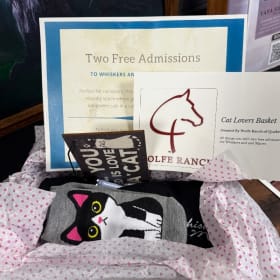 A Cat Lovers Basket item