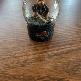 Utah Grizzlies Hockey Swag Bag item