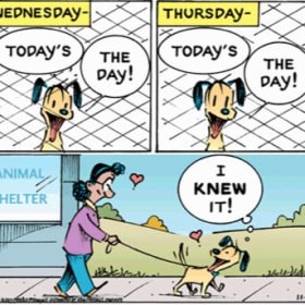 MUTTS Comics Print Signed by Patrick McDonnell item