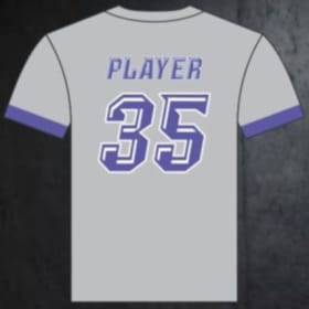 Custom Arkansas H.A.W.K.S. Performance Tee (Extended Sizes) item