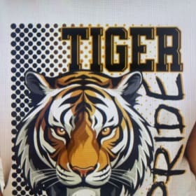 Tiger Pride or DC T-Shirt Sizes 2XL, 3XL or 4XL item