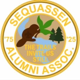 50th Anniversary Patch item