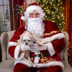 Holiday Character Bundle Session item