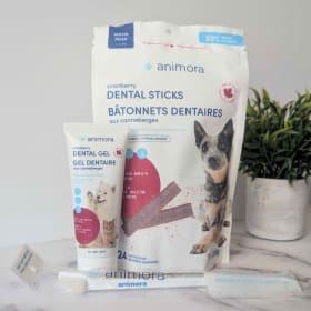 Kit d'entretien dentaire item