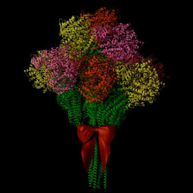 Blossoms of AlphaFold item