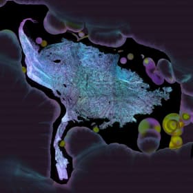 From Root to Radiance item