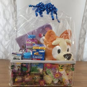 Kids & Family Gift Basket by Bayer  ($160 value) item