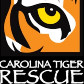 4 Day Passes to Carolina Tiger Rescue item