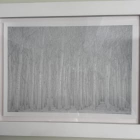 Tuscany Winter Birch Trees by David Vaughan item