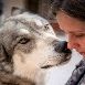 Wolf Hike with Apex Protection Project item