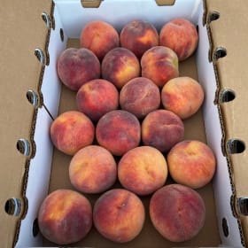 9 pound box peaches item