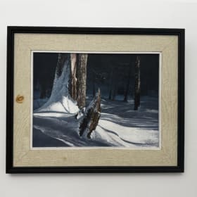 19 - Kentville Ravine by Pat Mills framed item