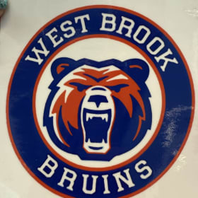Bruins Sticker item