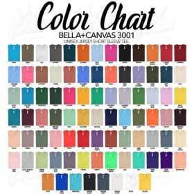 Bella Canvas T-shirt YS-XL item