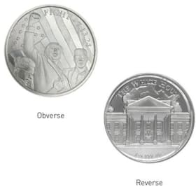 25 oz of Silver: 20 Trump Fight coins & 5 Buffalo coins item