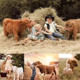 Cuddle Session Photo Shoot item