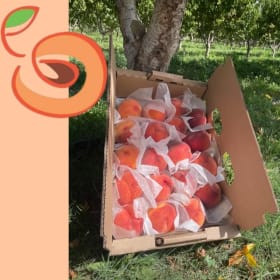 10lb box of Organic Peaches. Value -$45 item