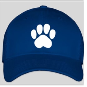 Gorra item